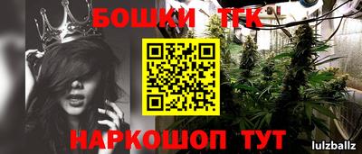 индика Кунгур