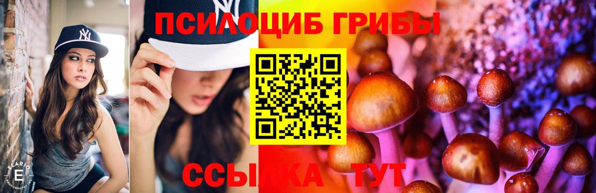Галлюциногенные грибы Psilocybe Чебоксары